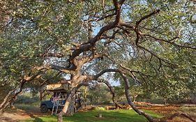 Zuricamp - Campsite Halishi
